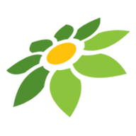 TOKOPEDIA DISKON